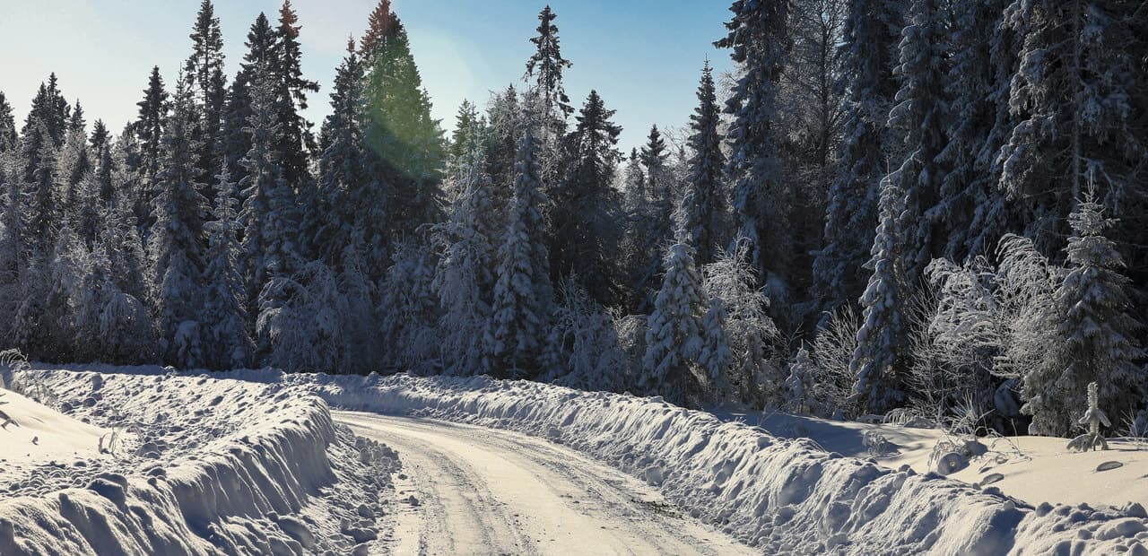 wrcchallengeprogram_2022_rd2.sweden_003.jpg