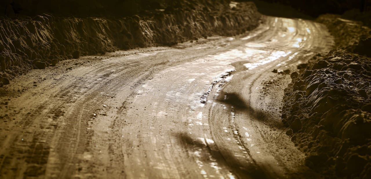 wrcchallengeprogram_2022_rd2.sweden_002.jpg