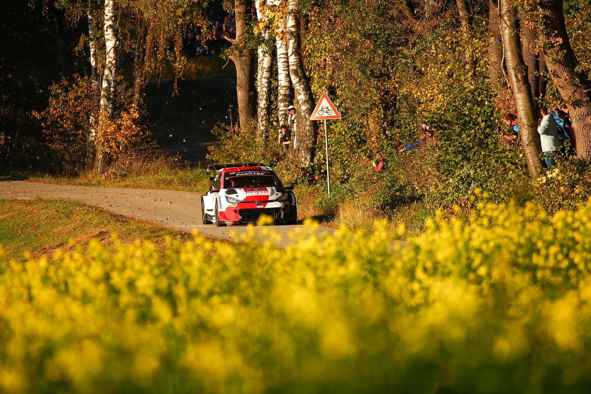 wrc_r12_006.jpg