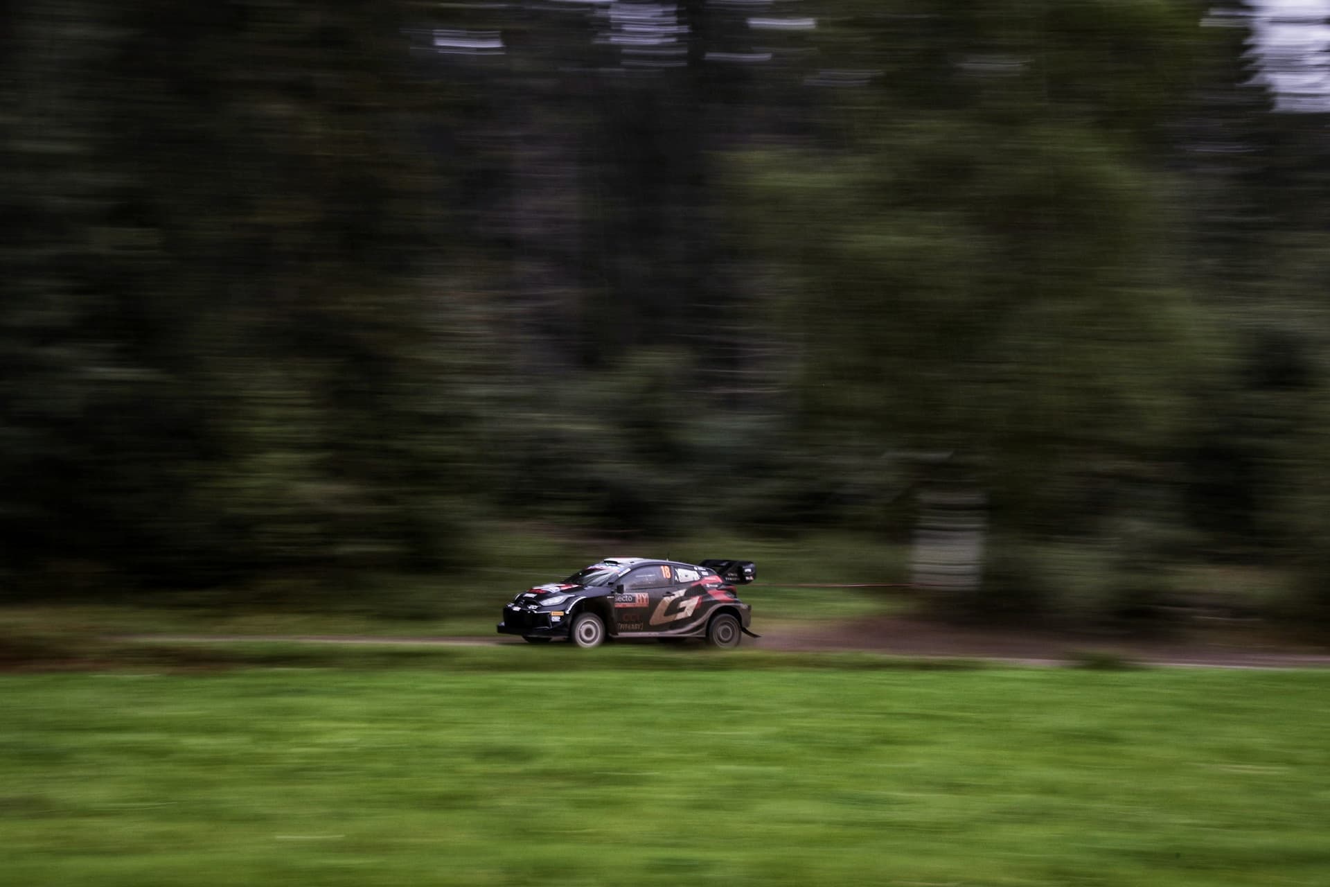 wrc_finland_d2_04.jpg