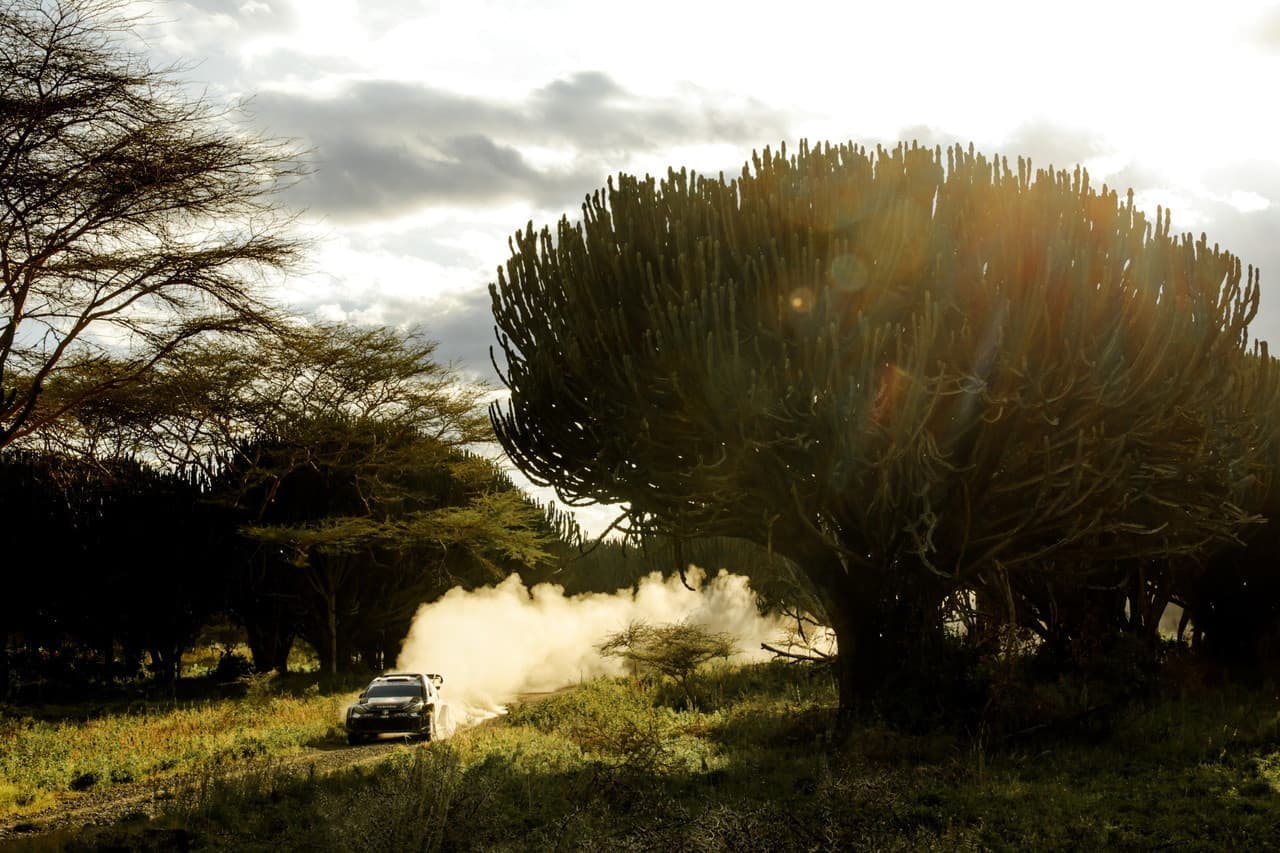 wrc_2025_r3_d229.jpg