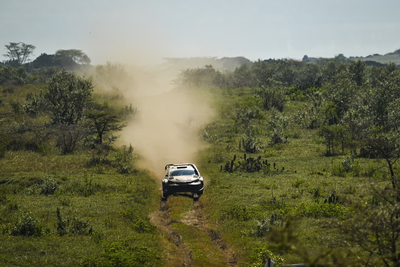 wrc_2025_r3_d3_22.jpg