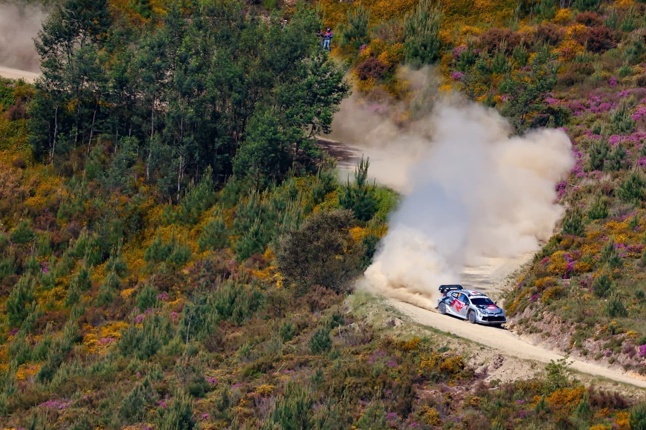 wrc_r5_d2_008.jpg