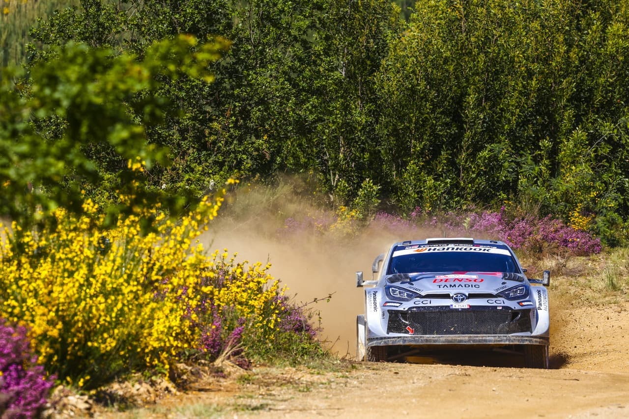 wrc_r5_d2_011.jpg