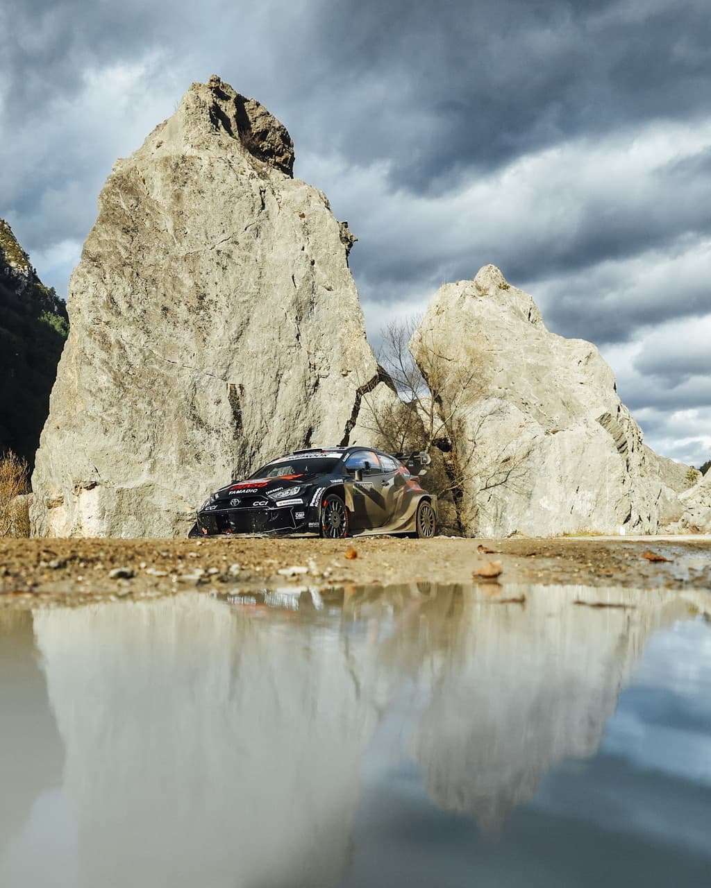 wrc_r1_d3_007.jpg