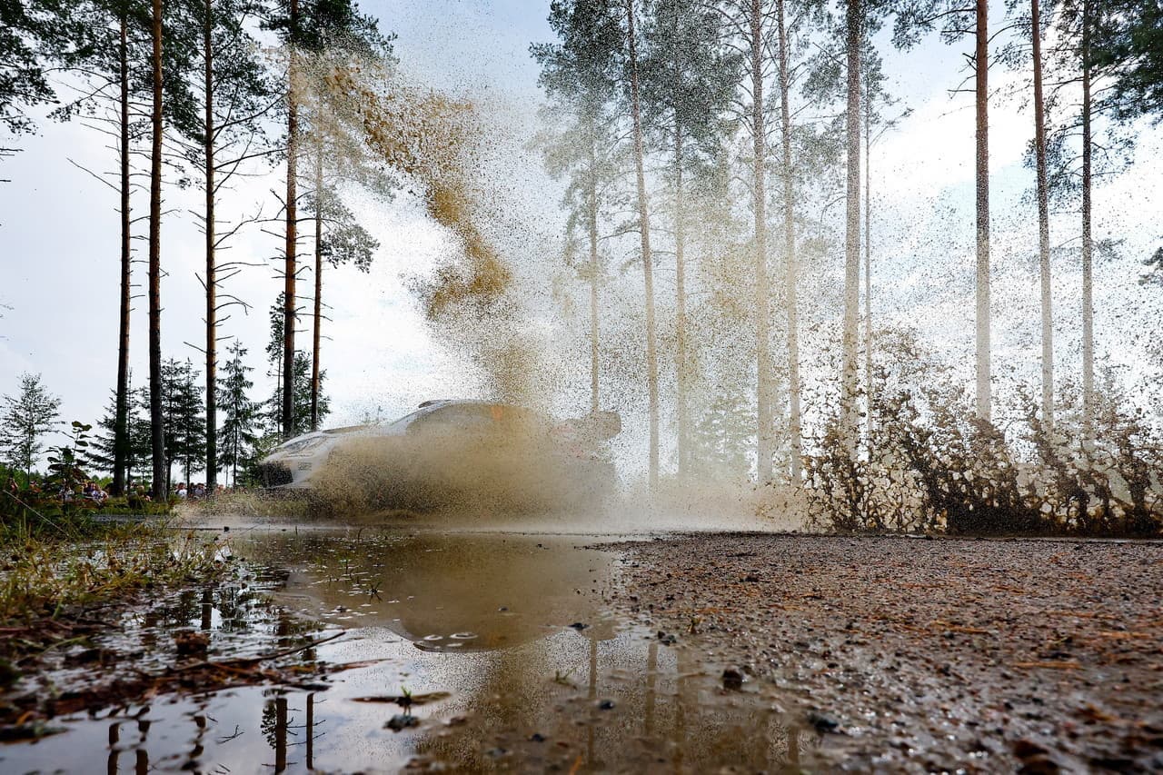 wrc_r9_d2_016.jpg