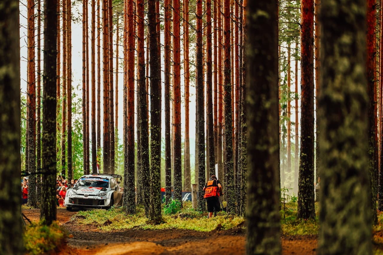 wrc_r9_d2_017.jpg