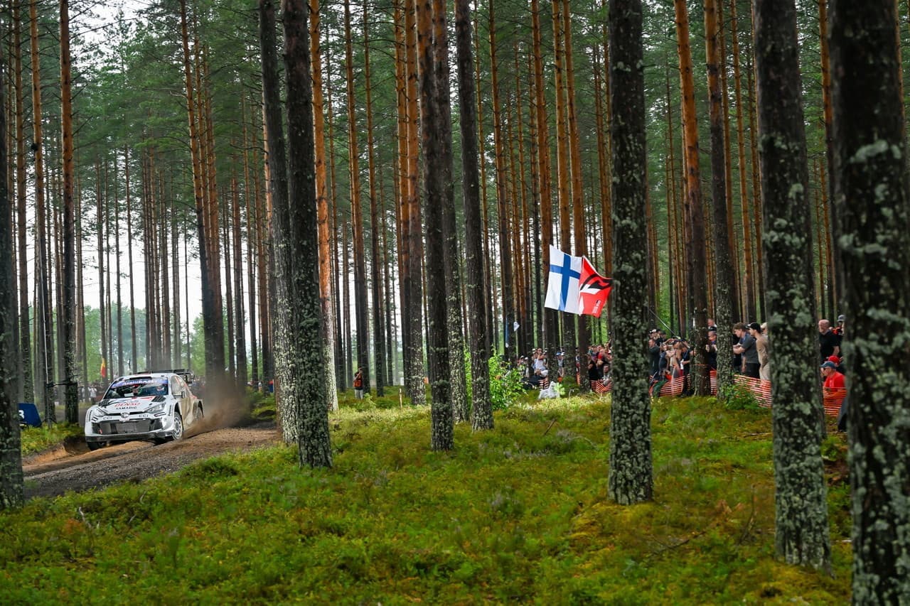 wrc_r9_d2_020.jpg