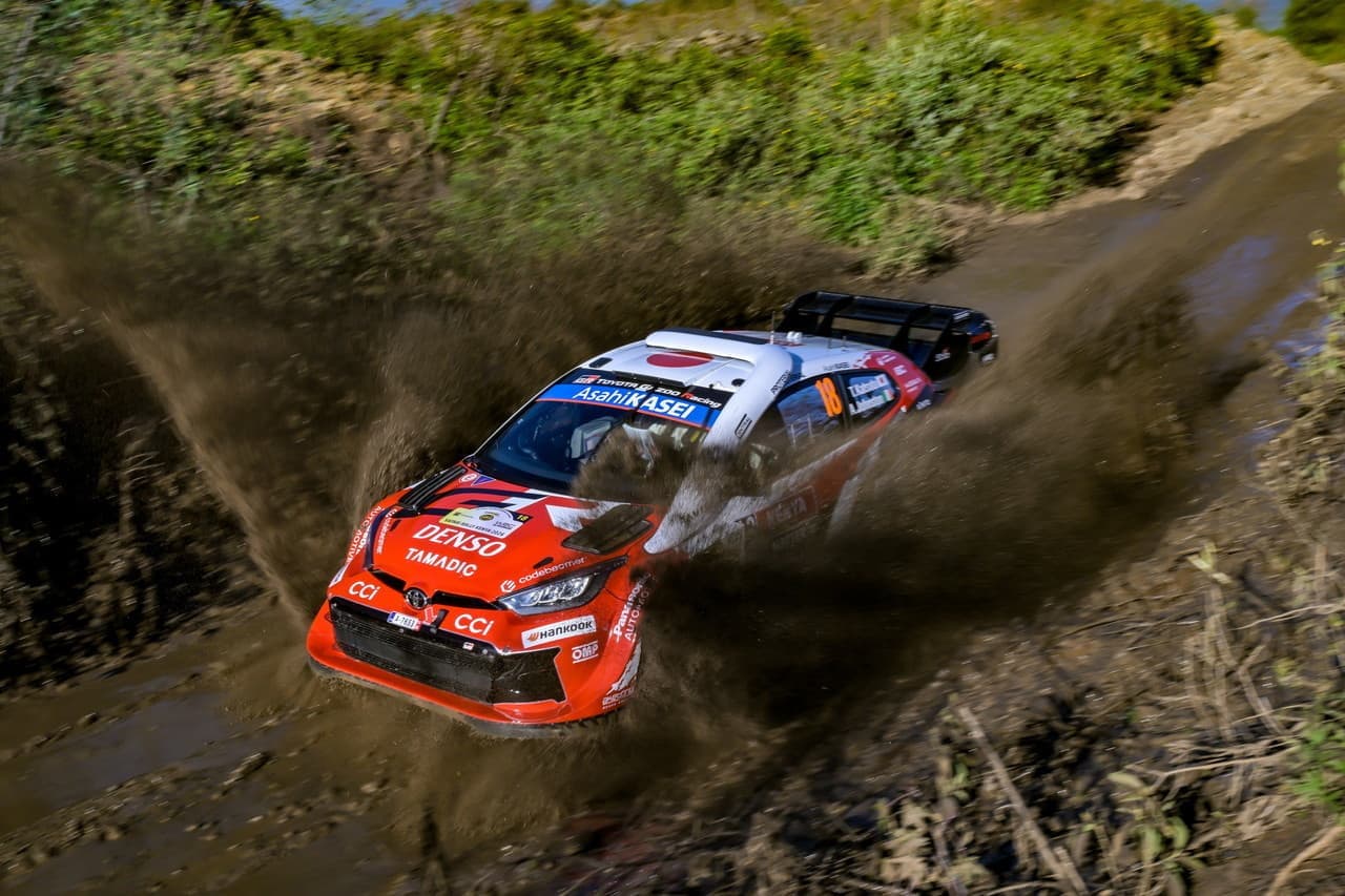 wrc_r3_sd-d1_8.jpg