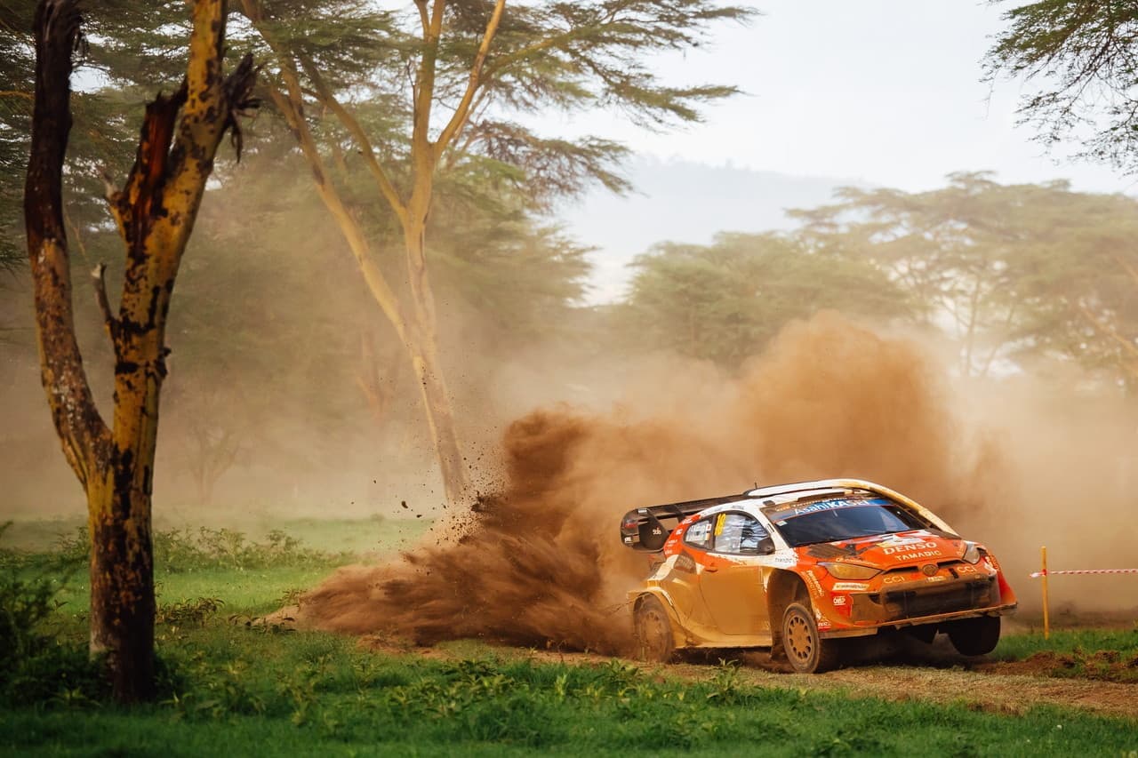 wrc_r3_sd-d1_32.jpg