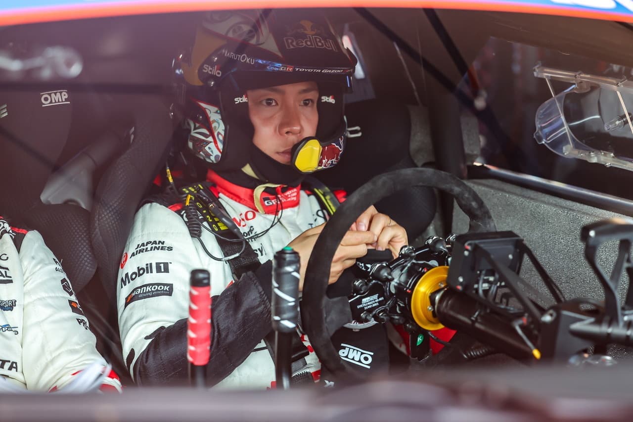 wrc_r3_sd-d1_13.jpg