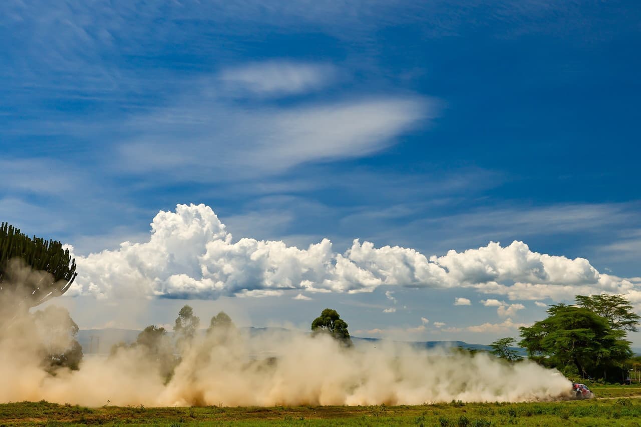 wrc_r3_d2_20.jpg