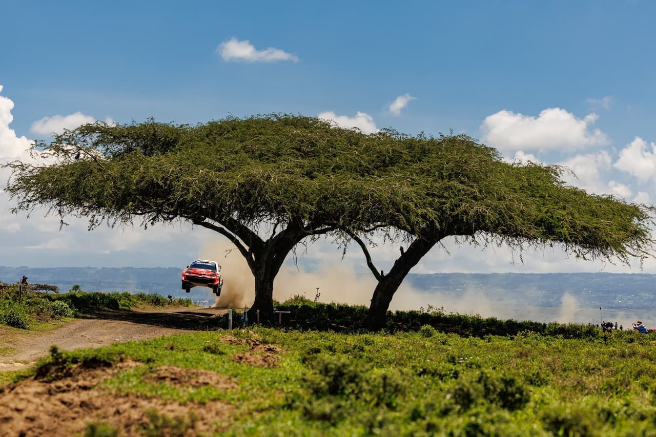 wrc_r3_d2_16.jpg
