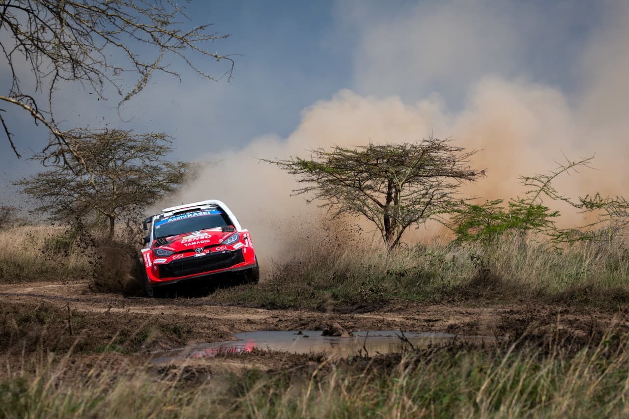 wrc_r3_d3_22.jpg