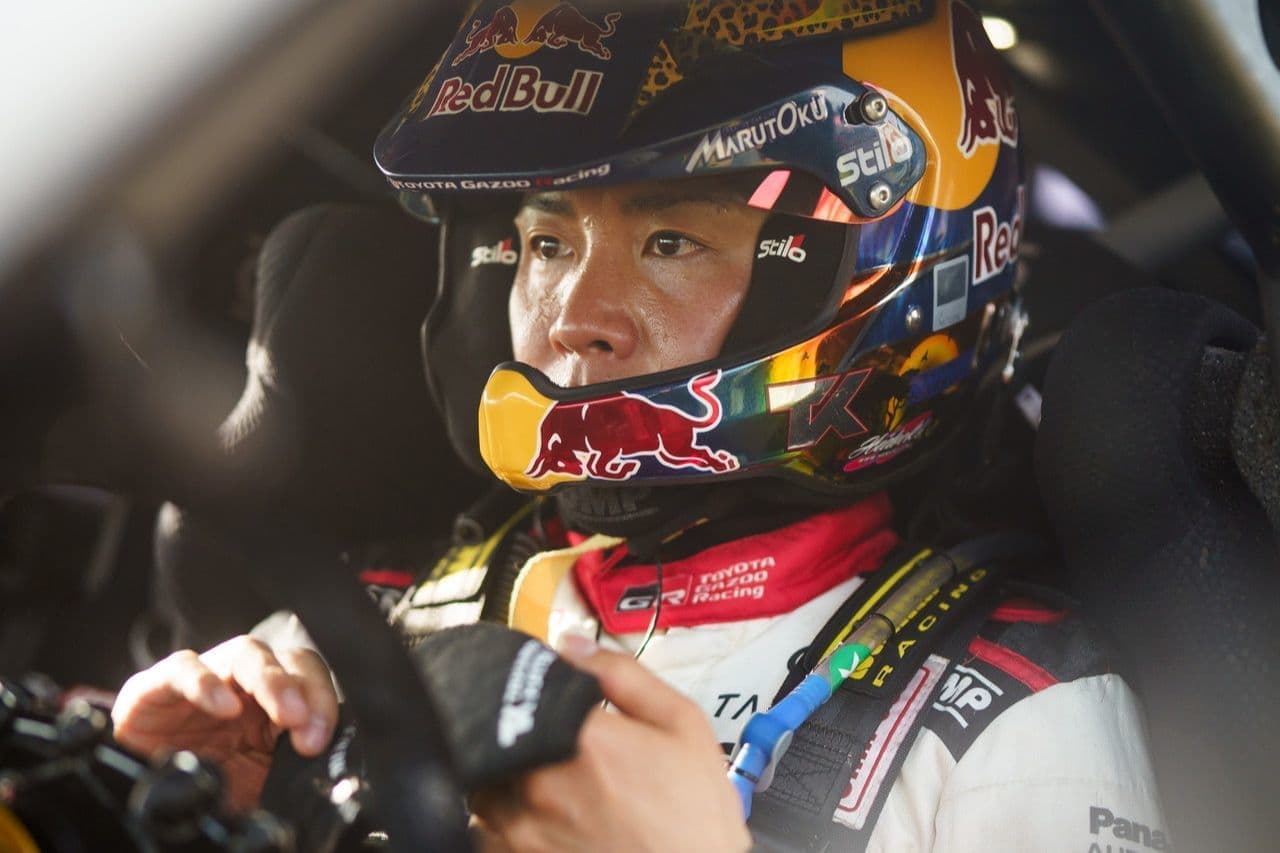 wrc_r3_d3_11.jpg