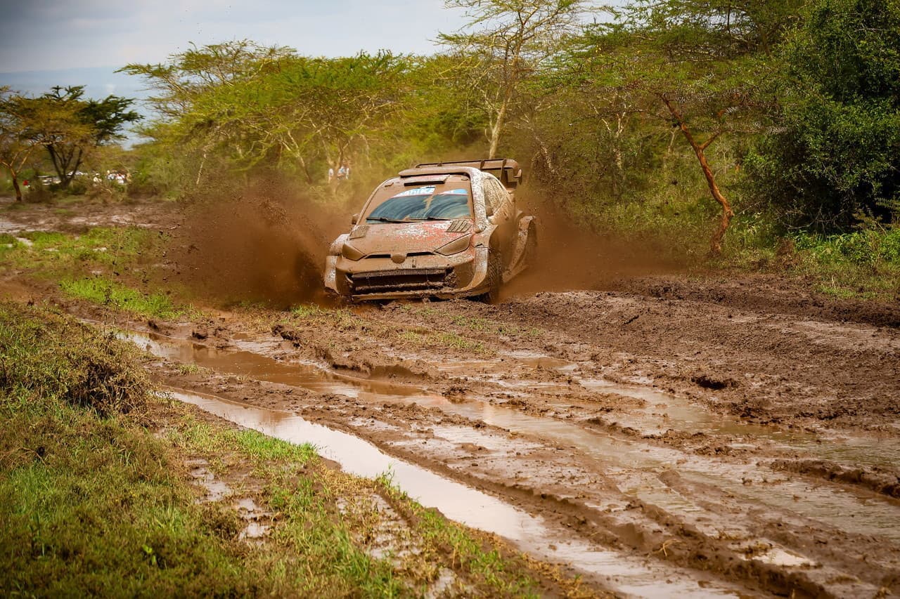wrc_r3_d3_20.jpg