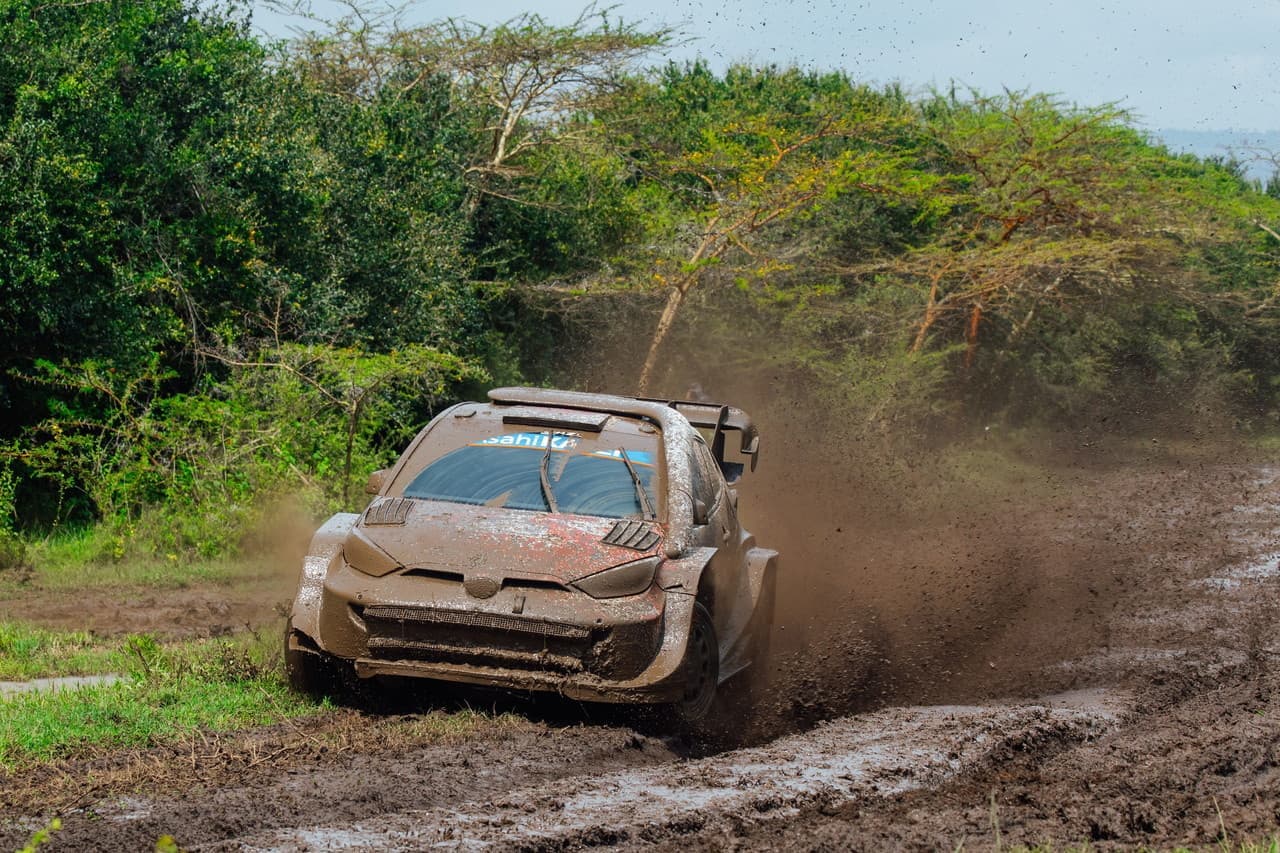 wrc_r3_d3_19.jpg