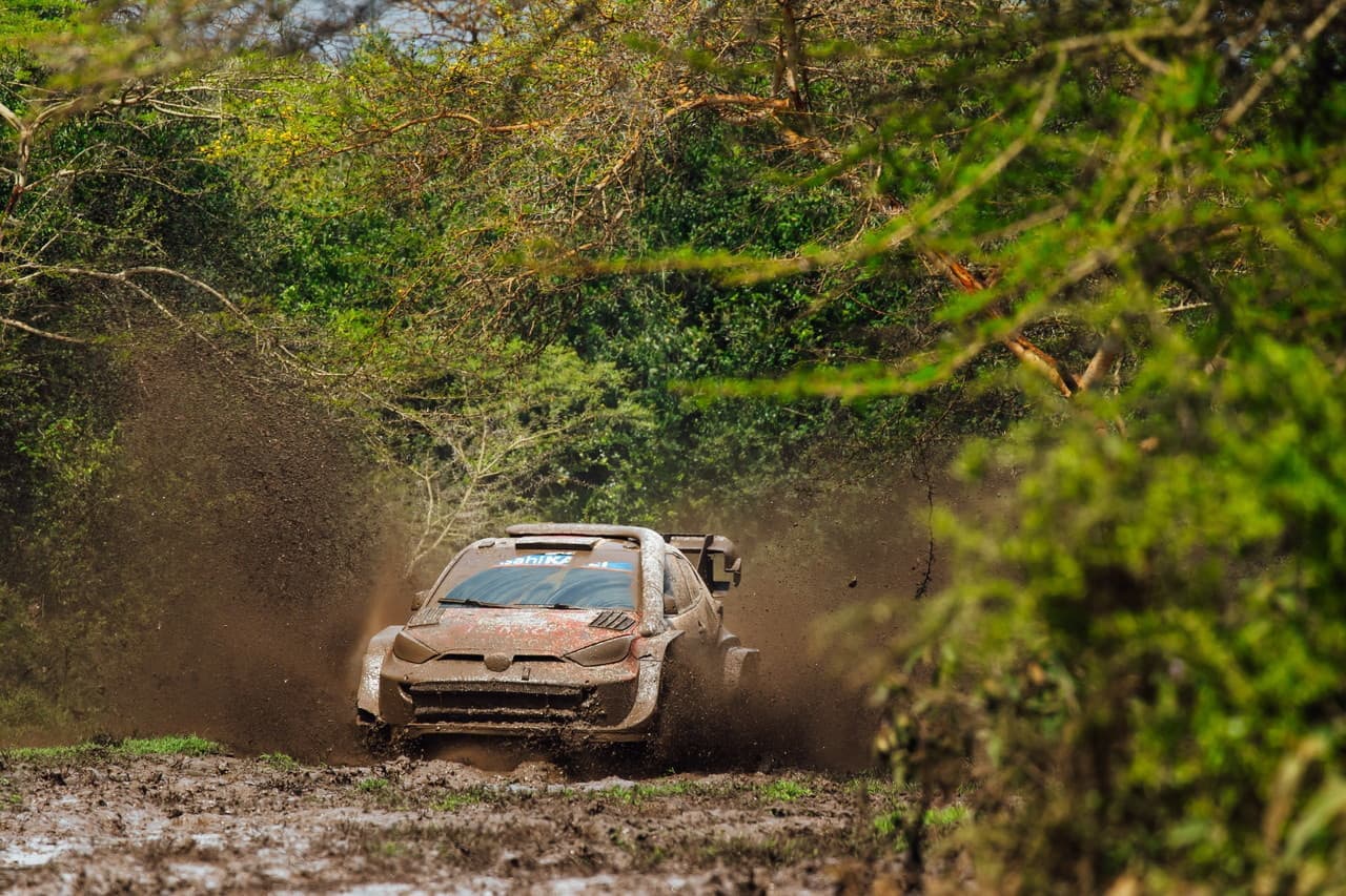 wrc_r3_d3_15.jpg
