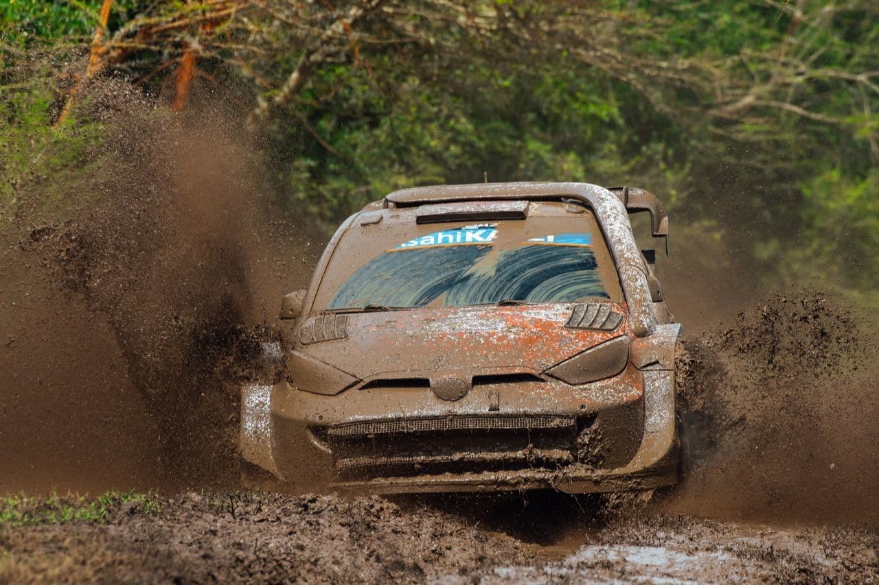 wrc_r3_d3_18.jpg