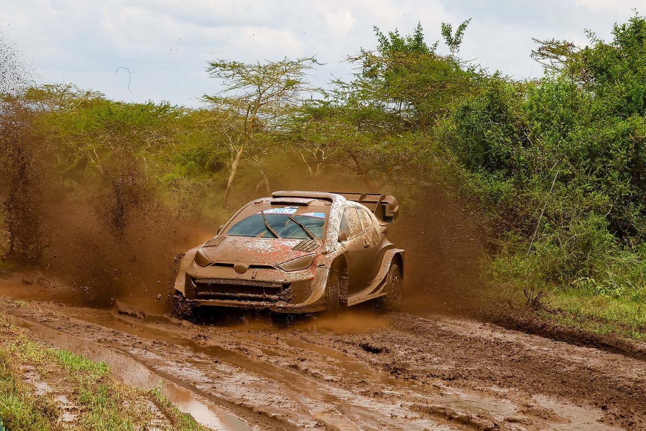 wrc_r3_d3_21.jpg
