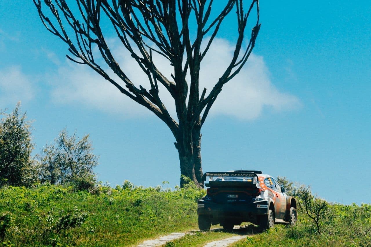 wrc_r3_d4_15.jpg