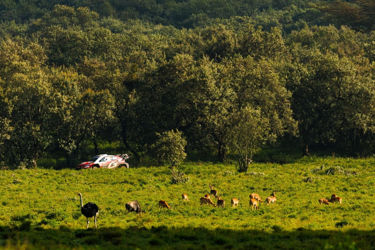wrc_r3_d4_4.jpg