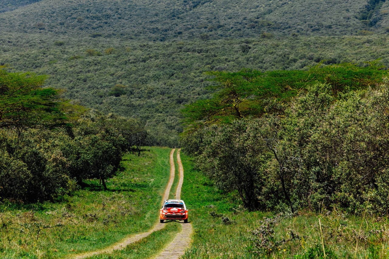 wrc_r3_d4_13.jpg