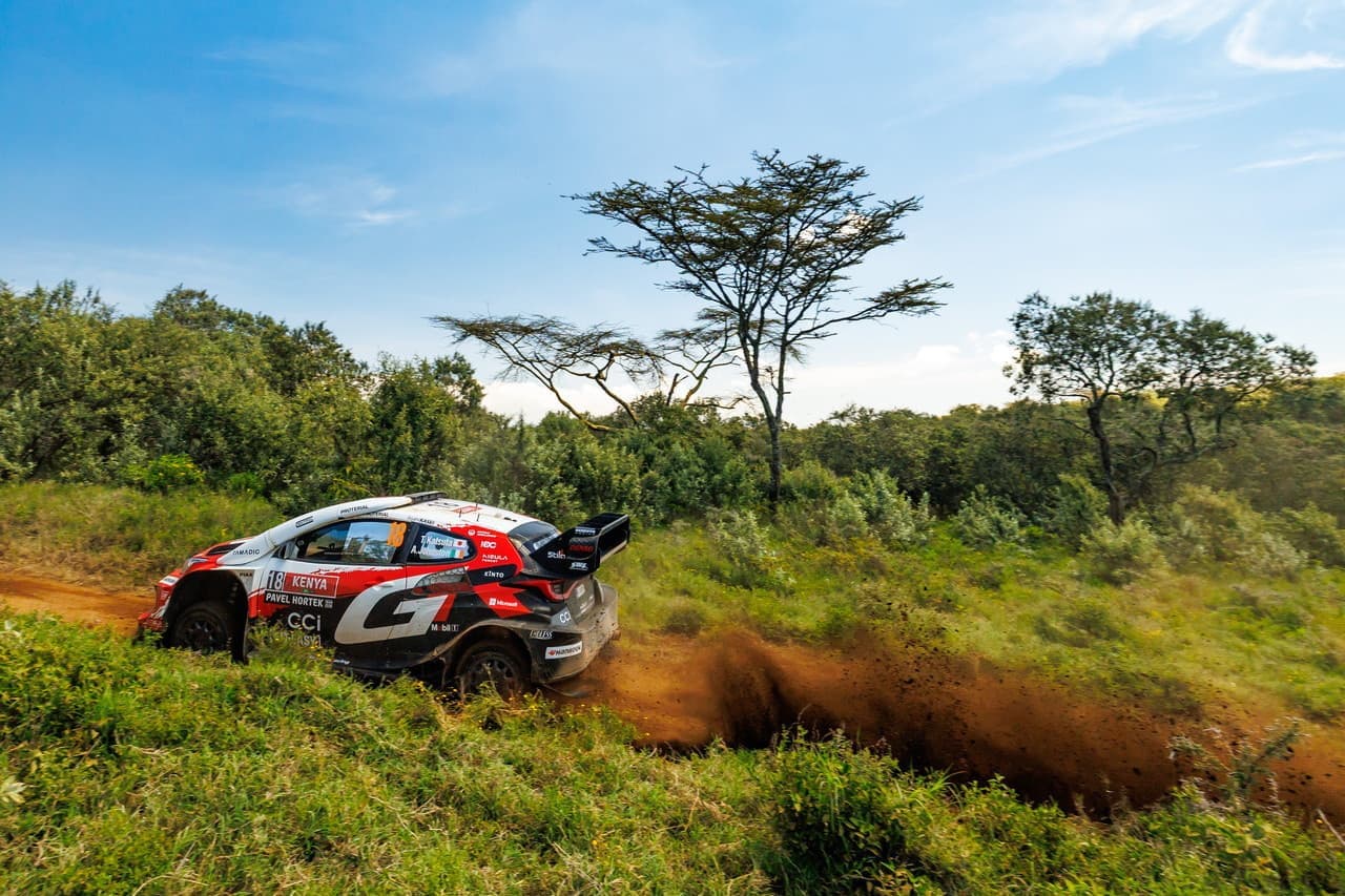 wrc_r3_d4_12.jpg